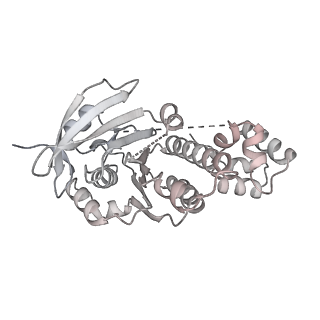 36442_8jnd_N_v1-0
The cryo-EM structure of the nonameric RAD51 ring bound to the nucleosome with the linker DNA binding