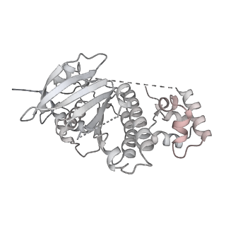 36442_8jnd_O_v1-0
The cryo-EM structure of the nonameric RAD51 ring bound to the nucleosome with the linker DNA binding