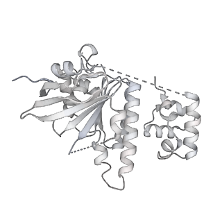 36442_8jnd_P_v1-0
The cryo-EM structure of the nonameric RAD51 ring bound to the nucleosome with the linker DNA binding