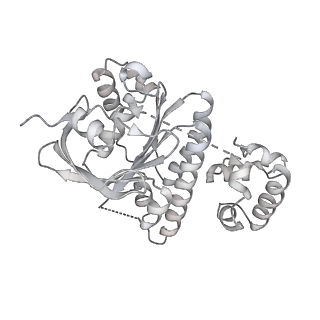 36442_8jnd_Q_v1-0
The cryo-EM structure of the nonameric RAD51 ring bound to the nucleosome with the linker DNA binding