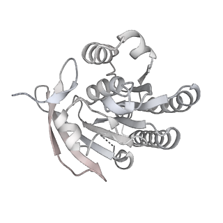 36442_8jnd_R_v1-0
The cryo-EM structure of the nonameric RAD51 ring bound to the nucleosome with the linker DNA binding