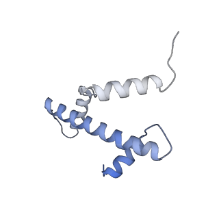 36443_8jne_A_v1-0
The cryo-EM structure of the decameric RAD51 ring bound to the nucleosome without the linker DNA binding