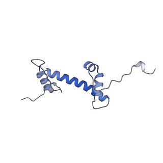 36443_8jne_C_v1-0
The cryo-EM structure of the decameric RAD51 ring bound to the nucleosome without the linker DNA binding