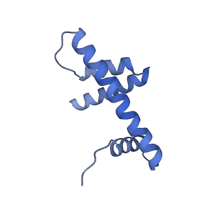 36443_8jne_D_v1-0
The cryo-EM structure of the decameric RAD51 ring bound to the nucleosome without the linker DNA binding