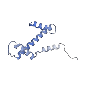 36443_8jne_E_v1-0
The cryo-EM structure of the decameric RAD51 ring bound to the nucleosome without the linker DNA binding