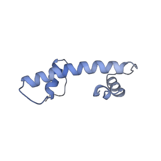 36443_8jne_F_v1-0
The cryo-EM structure of the decameric RAD51 ring bound to the nucleosome without the linker DNA binding