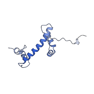 36443_8jne_G_v1-0
The cryo-EM structure of the decameric RAD51 ring bound to the nucleosome without the linker DNA binding