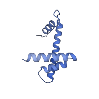 36443_8jne_H_v1-0
The cryo-EM structure of the decameric RAD51 ring bound to the nucleosome without the linker DNA binding