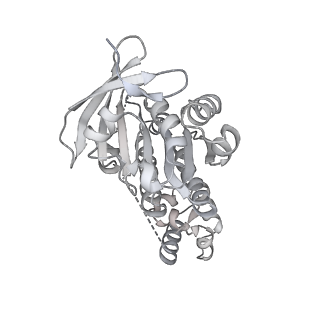 36443_8jne_K_v1-0
The cryo-EM structure of the decameric RAD51 ring bound to the nucleosome without the linker DNA binding