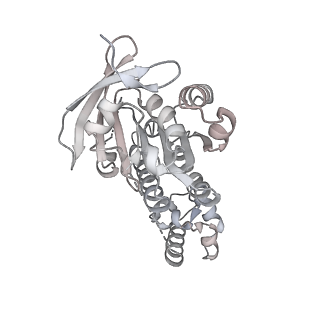 36443_8jne_L_v1-0
The cryo-EM structure of the decameric RAD51 ring bound to the nucleosome without the linker DNA binding