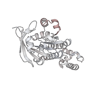 36443_8jne_M_v1-0
The cryo-EM structure of the decameric RAD51 ring bound to the nucleosome without the linker DNA binding