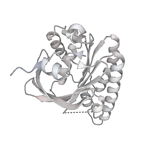 36443_8jne_N_v1-0
The cryo-EM structure of the decameric RAD51 ring bound to the nucleosome without the linker DNA binding