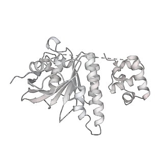 36443_8jne_O_v1-0
The cryo-EM structure of the decameric RAD51 ring bound to the nucleosome without the linker DNA binding