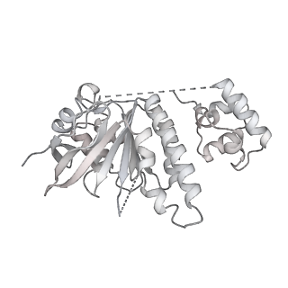 36443_8jne_P_v1-0
The cryo-EM structure of the decameric RAD51 ring bound to the nucleosome without the linker DNA binding