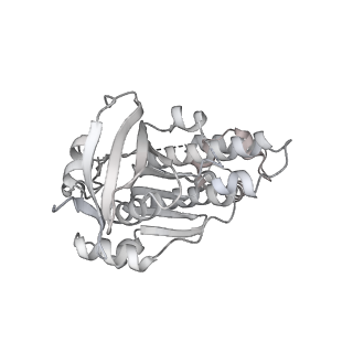 36443_8jne_R_v1-0
The cryo-EM structure of the decameric RAD51 ring bound to the nucleosome without the linker DNA binding