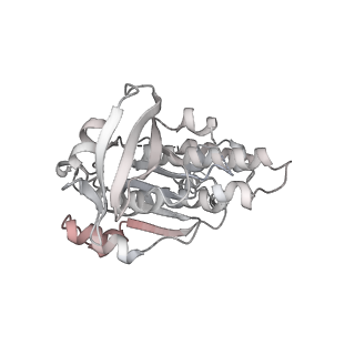 36443_8jne_S_v1-0
The cryo-EM structure of the decameric RAD51 ring bound to the nucleosome without the linker DNA binding