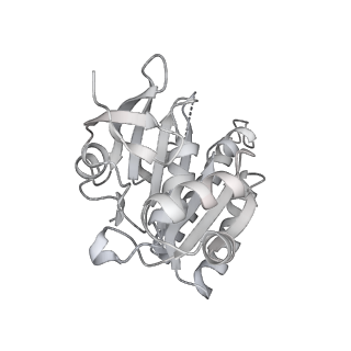 36443_8jne_T_v1-0
The cryo-EM structure of the decameric RAD51 ring bound to the nucleosome without the linker DNA binding