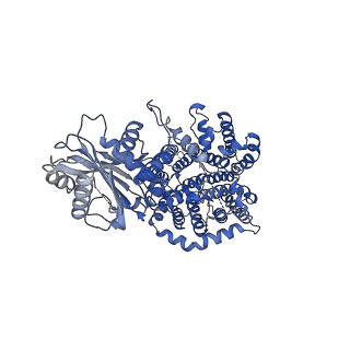 36449_8jnj_A_v1-0
Structure of R932A/K1147A/H1148A mutant AE2