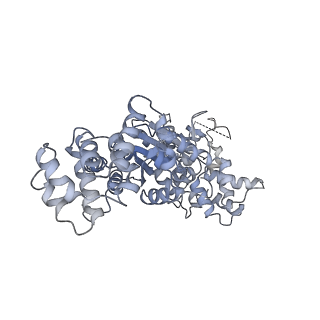 36450_8jns_A_v1-1
cryo-EM structure of a CED-4 hexamer