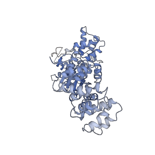 36450_8jns_B_v1-1
cryo-EM structure of a CED-4 hexamer