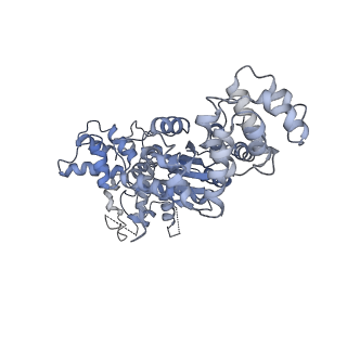 36450_8jns_C_v1-1
cryo-EM structure of a CED-4 hexamer
