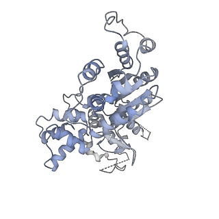 36450_8jns_E_v1-1
cryo-EM structure of a CED-4 hexamer