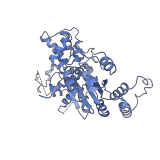 36450_8jns_F_v1-1
cryo-EM structure of a CED-4 hexamer