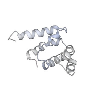 36450_8jns_H_v1-1
cryo-EM structure of a CED-4 hexamer