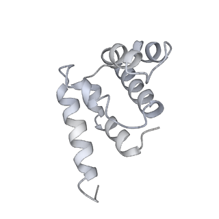 36450_8jns_I_v1-1
cryo-EM structure of a CED-4 hexamer