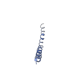 9851_6jnf_C_v1-2
Cryo-EM structure of the translocator of the outer mitochondrial membrane
