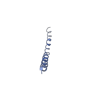 9851_6jnf_C_v1-3
Cryo-EM structure of the translocator of the outer mitochondrial membrane