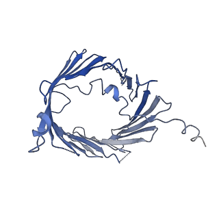 9851_6jnf_F_v1-3
Cryo-EM structure of the translocator of the outer mitochondrial membrane