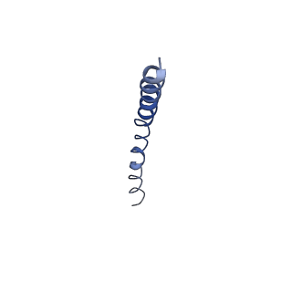 9851_6jnf_H_v1-2
Cryo-EM structure of the translocator of the outer mitochondrial membrane