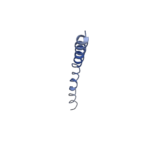 9851_6jnf_H_v1-3
Cryo-EM structure of the translocator of the outer mitochondrial membrane