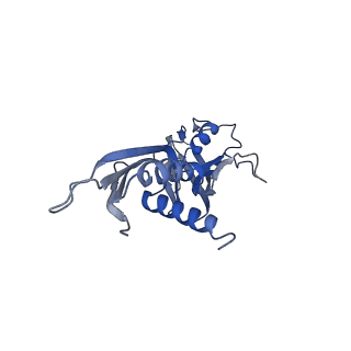 9852_6jnx_A_v1-2
Cryo-EM structure of a Q-engaged arrested complex