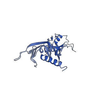 9852_6jnx_A_v1-3
Cryo-EM structure of a Q-engaged arrested complex