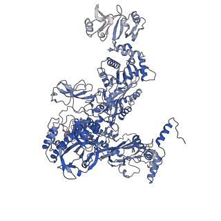 9852_6jnx_C_v1-3
Cryo-EM structure of a Q-engaged arrested complex