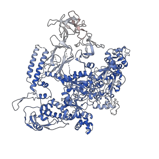 9852_6jnx_D_v1-3
Cryo-EM structure of a Q-engaged arrested complex