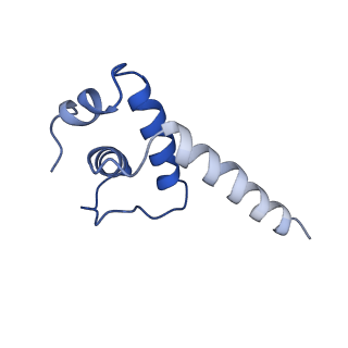 9852_6jnx_E_v1-3
Cryo-EM structure of a Q-engaged arrested complex