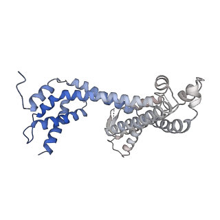 9852_6jnx_F_v1-3
Cryo-EM structure of a Q-engaged arrested complex