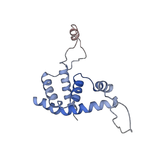 9852_6jnx_P_v1-2
Cryo-EM structure of a Q-engaged arrested complex
