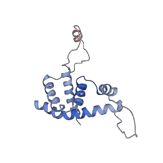 9852_6jnx_P_v1-3
Cryo-EM structure of a Q-engaged arrested complex