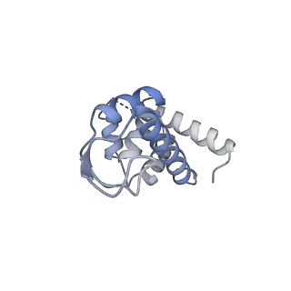 9852_6jnx_Q_v1-3
Cryo-EM structure of a Q-engaged arrested complex