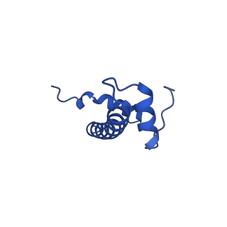 22408_7jo9_B_v1-2
1:1 cGAS-nucleosome complex