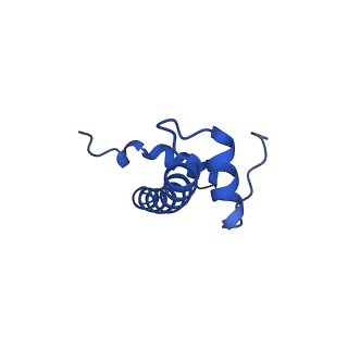 22408_7jo9_B_v1-3
1:1 cGAS-nucleosome complex