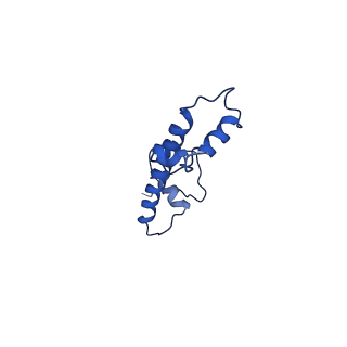 22408_7jo9_C_v1-2
1:1 cGAS-nucleosome complex