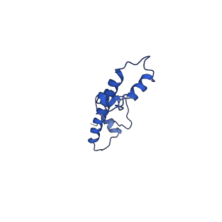 22408_7jo9_C_v1-3
1:1 cGAS-nucleosome complex