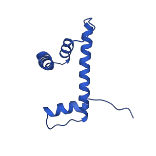 22408_7jo9_D_v1-2
1:1 cGAS-nucleosome complex