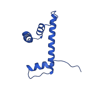 22408_7jo9_D_v1-3
1:1 cGAS-nucleosome complex