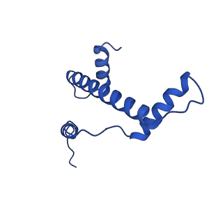 22408_7jo9_E_v1-3
1:1 cGAS-nucleosome complex